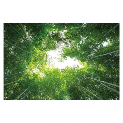 [키즈디자인] 숲속배경현수막 4048 대나무숲