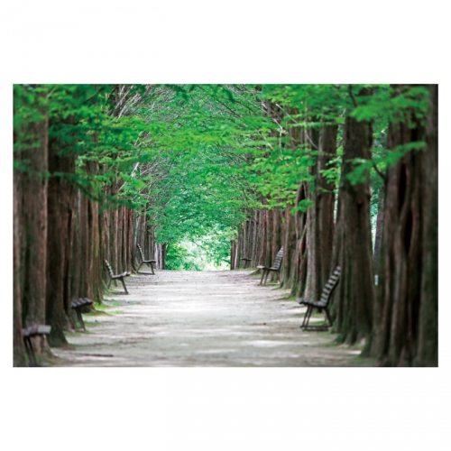 [키즈디자인] 숲속배경현수막 4052