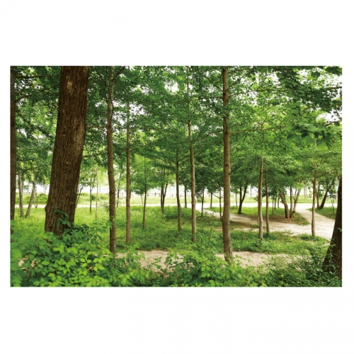 [키즈디자인] 숲속배경현수막 4062