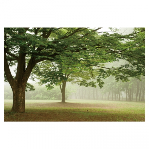 [키즈디자인] 숲속 들판 배경현수막 4091 잔디