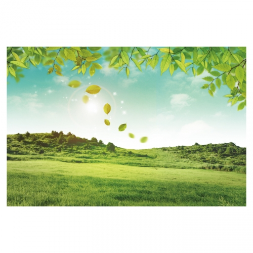 [키즈디자인] 숲속 들판 배경현수막 4092 잔디