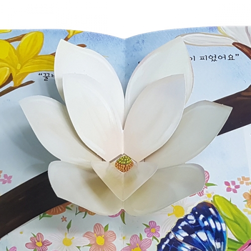 펀북 생태 [봄동산의 봄꽃]