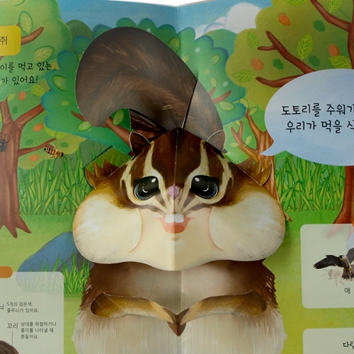 펀북 생태 [귀여운 다람쥐들]