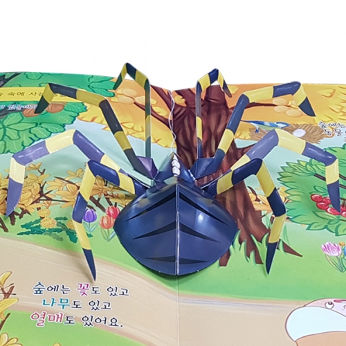 펀북 생태 [숲길 산책]