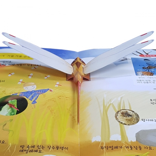 펀북 생태 [사계절 곤충]