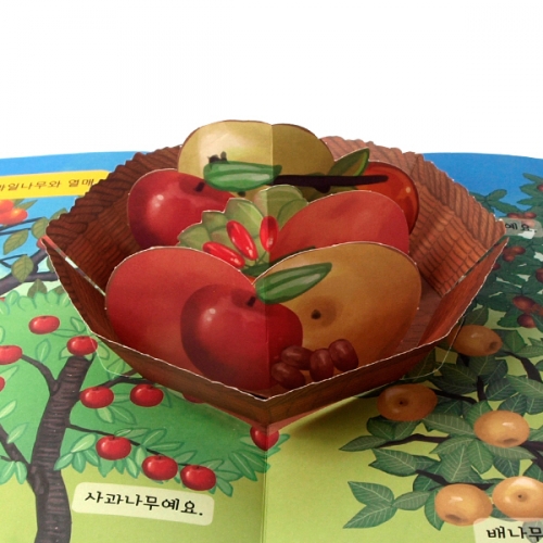 펀북 생태 [나무와 열매]