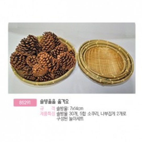[두손]솔방울을 옮겨요