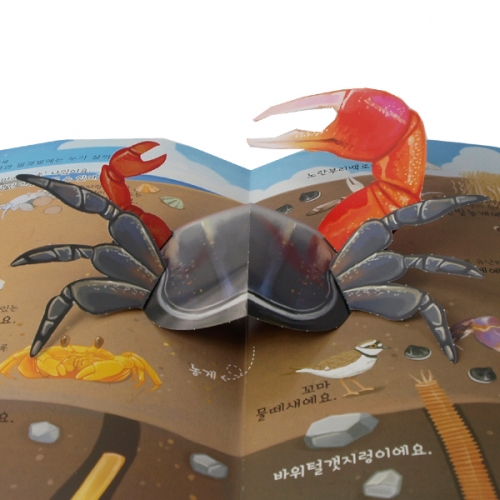 펀북 생태 [갯벌에서 보는 생물]