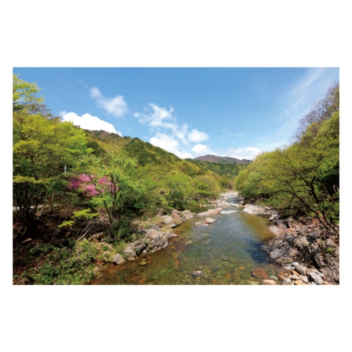 [키즈디자인] 계곡배경현수막 4097 숲속배경