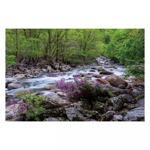 [키즈디자인] 계곡배경현수막 4099 숲속배경