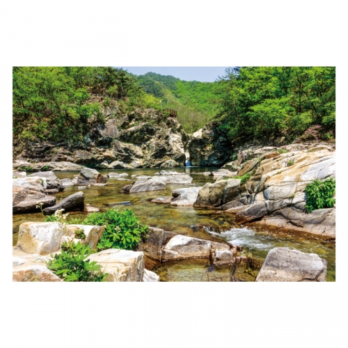 [키즈디자인] 계곡배경현수막 4100 숲속배경