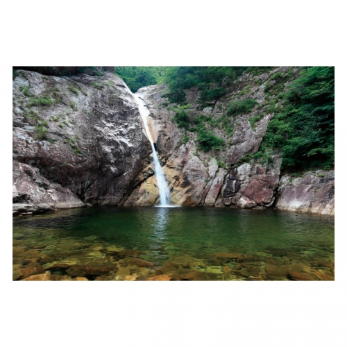 [키즈디자인] 계곡배경현수막 4101 숲속배경