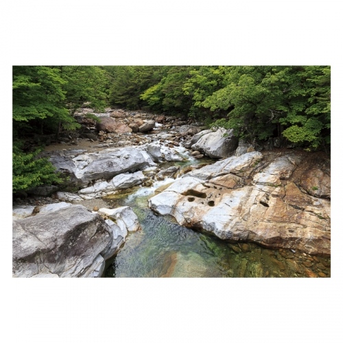 [키즈디자인] 계곡배경현수막 4102 숲속배경