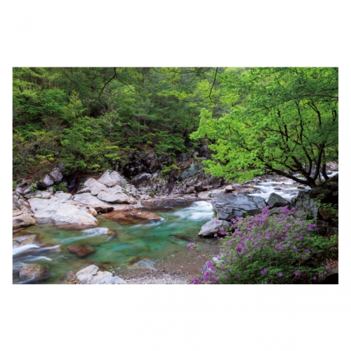 [키즈디자인] 계곡배경현수막 4103 숲속배경
