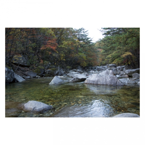 [키즈디자인] 계곡배경현수막 4105 숲속배경