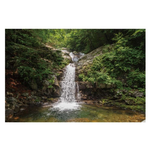 [키즈디자인] 계곡배경현수막 4108 숲속배경