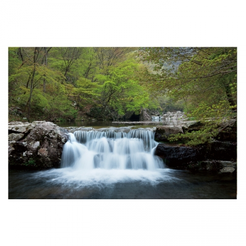 [키즈디자인] 계곡배경현수막 4109 숲속배경
