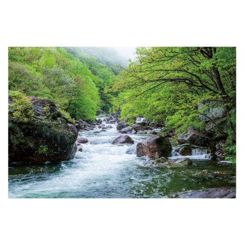 [키즈디자인] 계곡배경현수막 4111 숲속배경