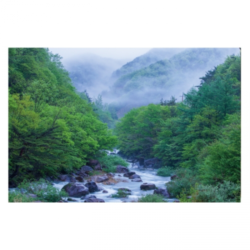 [키즈디자인] 계곡배경현수막 4112 숲속배경
