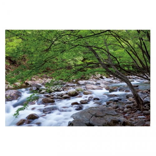 [키즈디자인] 계곡배경현수막 4113 숲속배경