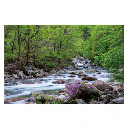 [키즈디자인] 계곡배경현수막 4114 숲속배경