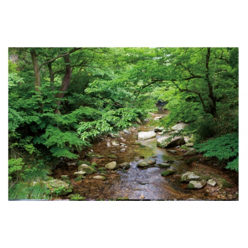[키즈디자인] 계곡배경현수막 4115 숲속배경