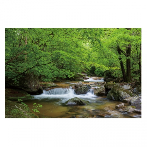 [키즈디자인] 계곡배경현수막 4116 숲속배경