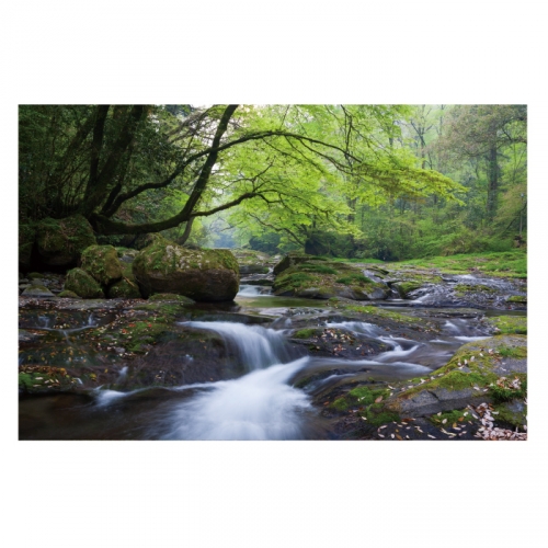 [키즈디자인] 계곡배경현수막 4117 숲속배경