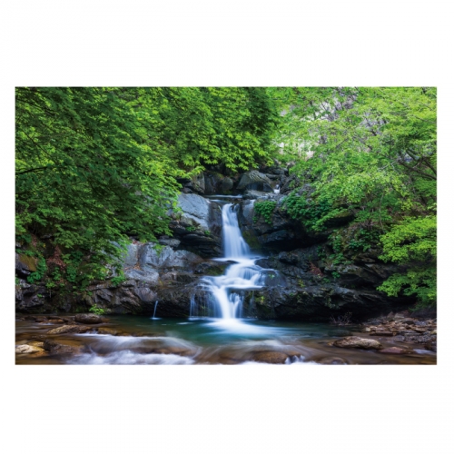 [키즈디자인] 계곡배경현수막 4118 숲속배경