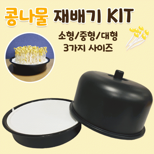 콩나물재배기/씨앗재배기/수경재배기/새싹키우기/콩나물키우기