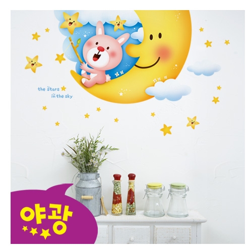 스티커몰 펀빅 토끼달 FDT-2213