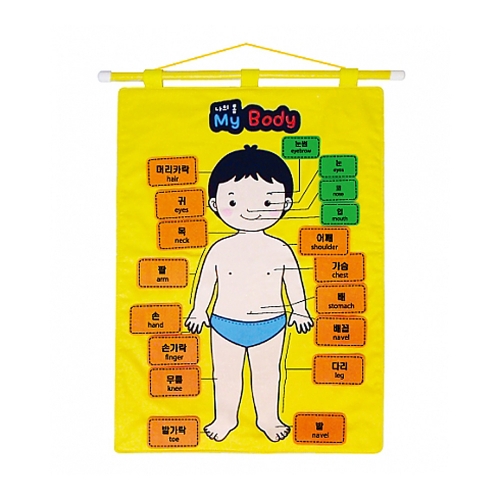 h50 벽걸이 챠트(나의몸)