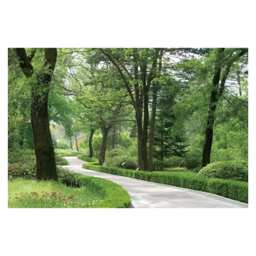 [키즈디자인] 숲속배경현수막 6110