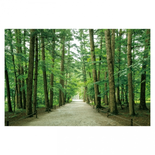 [키즈디자인] 숲속배경현수막 6117