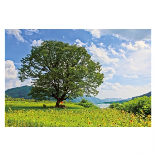 [키즈디자인] 숲속배경현수막 6118