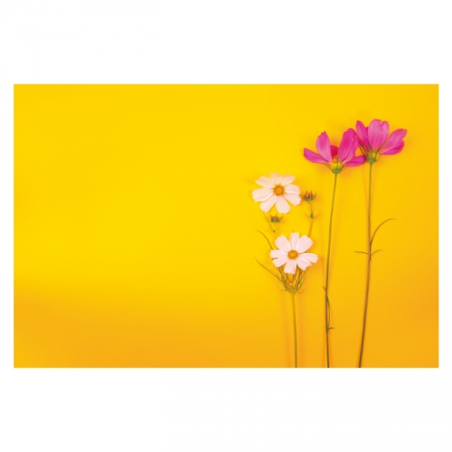 [키즈디자인] 가을배경현수막 6134
