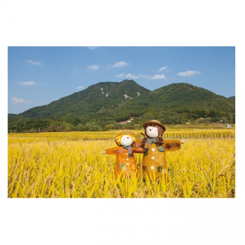 [키즈디자인] 가을배경현수막 6139 허수아비 들녁 벼