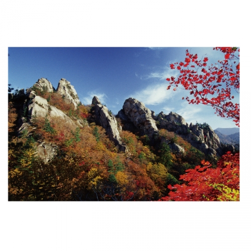 [키즈디자인] 가을배경현수막 6148 단풍 가을산 가을숲속