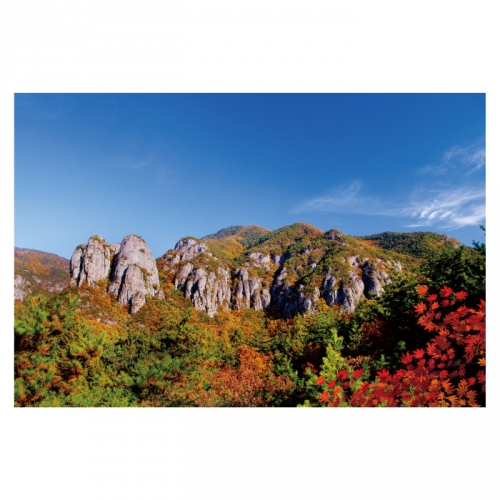 [키즈디자인] 가을배경현수막 6156 단풍 가을산