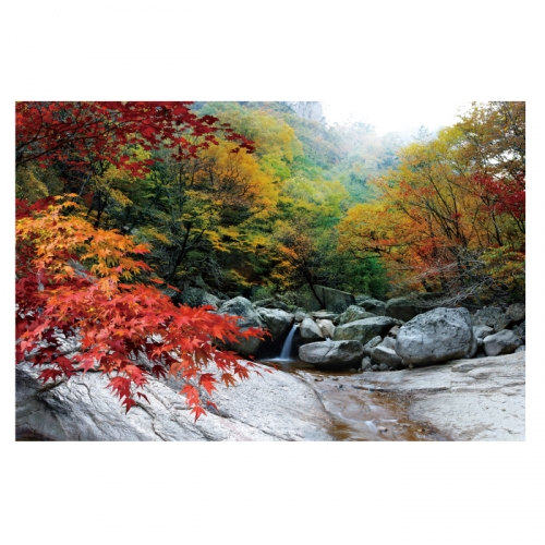 [키즈디자인] 가을배경현수막 6167 단풍 계곡