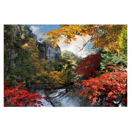 [키즈디자인] 가을배경현수막 6168 단풍 계곡 숲속배경