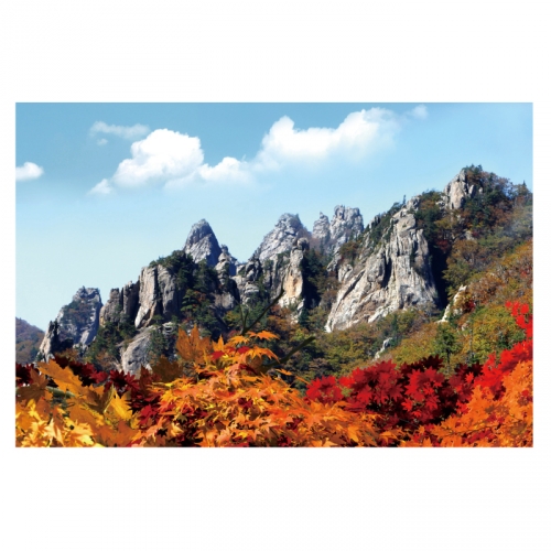 [키즈디자인] 가을배경현수막 6169 단풍 숲속배경 산