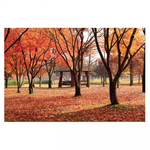 [키즈디자인] 가을배경현수막 6172 단풍