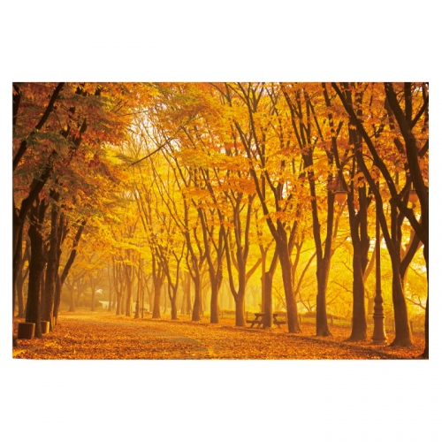 [키즈디자인] 가을배경현수막 6179 단풍