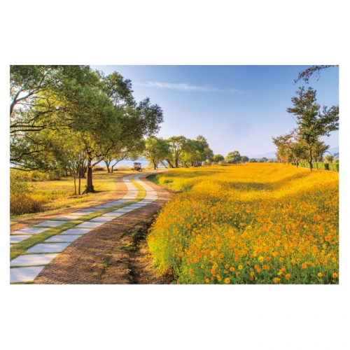 [키즈디자인] 가을배경현수막 6180