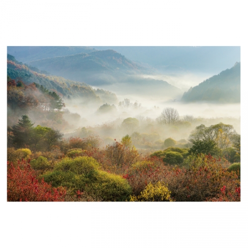 [키즈디자인] 가을배경현수막 6181 단풍 숲속배경