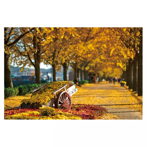 [키즈디자인] 가을배경현수막 6182 단풍 숲속배경
