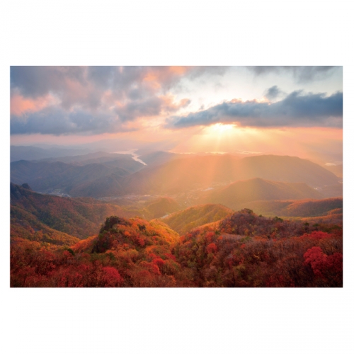 [키즈디자인] 가을배경현수막 6185 단풍 산