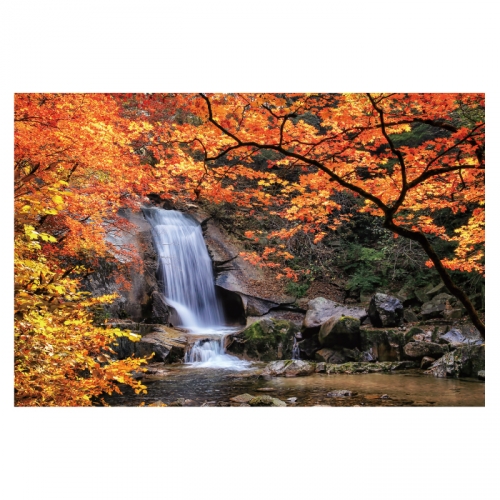 [키즈디자인] 가을배경현수막 6186 단풍 계곡
