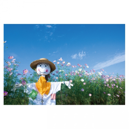 [키즈디자인] 가을배경현수막 6189 허수아비 코스모스